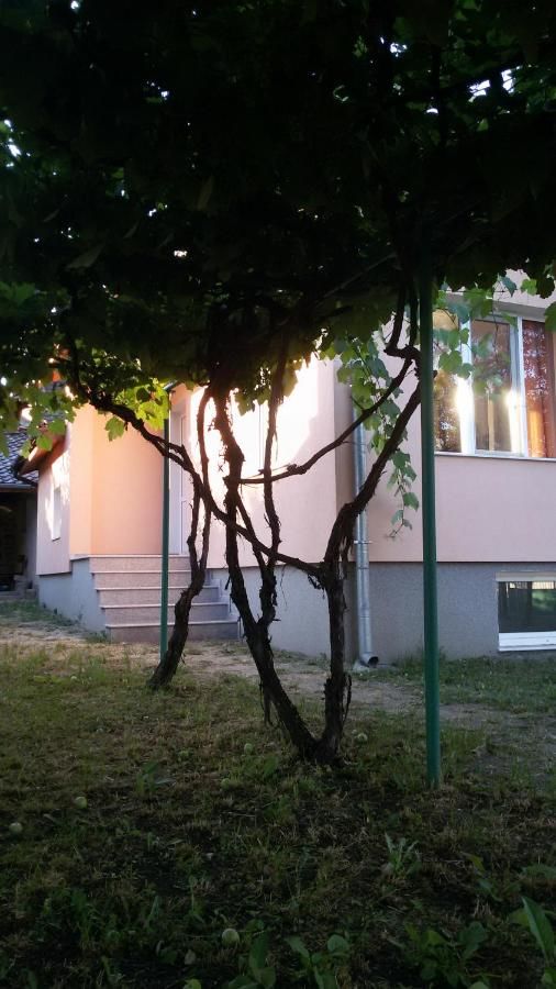 Гостевой дом Lozitsa Guest House Zlatitsa-4