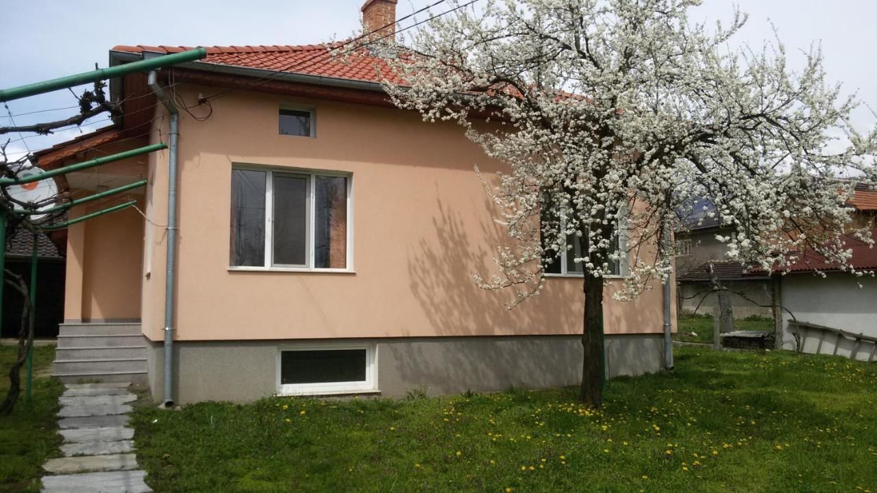 Гостевой дом Lozitsa Guest House Zlatitsa-5